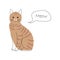 Brown tabby cat . Cute cartoon characters . Flat shape and line stroke design .