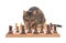 Brown tabby cat looking across chess board