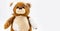 Brown teddy bear with bandages, toy injured animal, violence or aggression concept