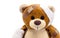 Brown teddy bear with bandages, toy injured animal, violence or aggression concept
