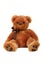 Brown teddy bear doll isolated stuffed fluffy plush sitting soft fur cute object cuddly little on white background small gift gold