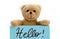 Brown teddy bear holding with the two hands a note in blue color with the handwritten message â€œHello!â€ as welcome sign concept