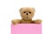 Brown teddy bear holding with the two hands a note in pastel pink color with empty space for text message baby shower invitation.