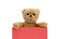 Brown teddy bear holding with the two hands a note in red color with empty space for text message.