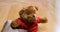 Brown teddy bear with red shirt moves