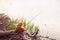 Brown teddy bear sits by the lake with a fishing rod and catches fish. Summer nature idyllic landscape