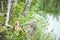 Brown teddy bear sits by the lake with a fishing rod and catches fish. Summer nature idyllic landscape