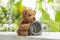 Brown teddy bear soaking with water sitting with old meter water meter