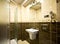 Brown theme bathroom