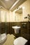 Brown theme bathroom