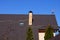 Brown tile roof with window and chimney against the background of twigs and blue sky