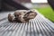 Brown toad sitting on stairs of a countryhouse