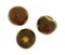 Brown tomatoes on a white background