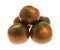 Brown tomatoes on a white background