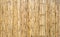 Brown tone bamboo plank fence texture for background