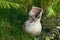 Brown traditional Russian broken clay milk jug on the grass