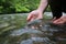 Brown trout in hands of fisherman