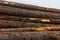 Brown trunk brown bark horizontal stack stack of logs rough rough surface background logging