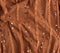 Brown tulle with sequin embroidery and decor, textile for sewing clothes