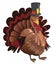 Brown turkey with a hat, illustration, vector