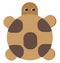 Brown turtle, icon