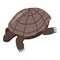 Brown turtle icon, isometric style