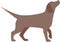 Brown vector beagle dog animal friend shelter