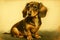 brown vintage dachshund dog with floppy ears and brown eyes