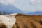 Brown and White flecked Cows in the European Alps