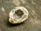 Brown and white geode crystal with wood background