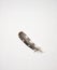 Brown and White Spotted Feather on White Linen Background