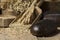 Brown whole grain loaves composition on rustic wood