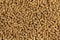 Brown wood pellets texture background. natural pile of wood pellets. organic biofuels. Alternative biofuel from sawdust. The cat