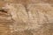 Brown wooden background, close-up wood fibrous structure with cracks, chips and uneven surface