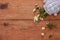 Brown wooden background with yellow wild violets and white jug