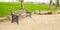 Brown wooden bench with a green meadow in the background. Lonely chairs on the lawn in the park.