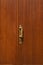 Brown wooden door with brass handle