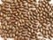 Brown wooden seed beads background