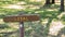 Brown wooden sign in grassy field with loyal written on it