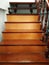 Brown wooden stairs