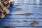 Brown wrapped birthday presents on vintage wooden board