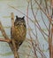 Brown yellow eagle owl bird sitting on a branch winking towards the camera