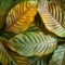 Brown young mango leaves, a serene and natural background