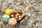 Brownies with Macaron in a dish on the background of rocks.