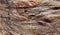 Brownish rock texture