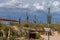 Browns Ranch Trailhead In North Scottsdale AZ