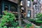 Brownstone style houses with front gardens