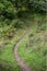 The Bruce Trail Snakes Into The Forest