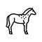 brucellosis horse line icon vector illustration