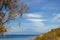 Brucoli view of seascape in a frame with a tree and grass aside and the blue sea and sky with Etna in background